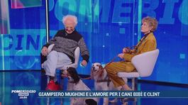 Giampiero Mughini e l'amore per i cani Bibì e Clint thumbnail