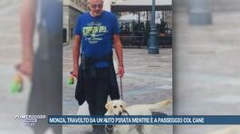 Monza, travolto da un'auto pirata mentre è a passeggio col cane thumbnail