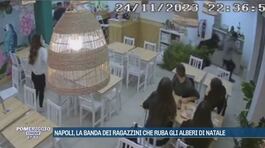 Napoli, la banda dei ragazzini che ruba gli alberi di Natale thumbnail