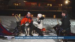 Cortina, i cani da slitta e i loro compagni umani thumbnail