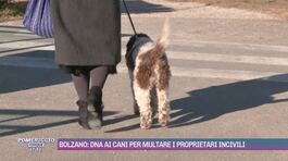 Bolzano: dna ai cani per multare i proprietari incivili thumbnail