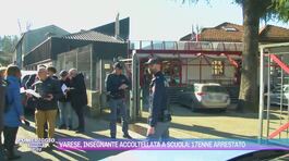 Varese, insegnante accoltellata a scuola: 17enne arrestato thumbnail