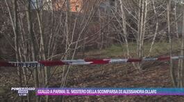 Giallo a Parma: il mistero della scomparsa di Alessandra Ollari thumbnail