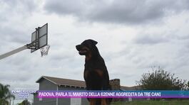 Padova, aggressione dei cani: le testimonianze thumbnail
