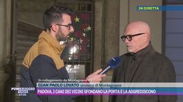 Padova, il sindaco sull'aggressione dei rottweiler thumbnail