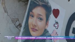 Scomparsa di Andreea: una scritta nel casolare del mistero thumbnail