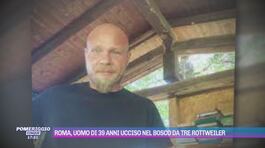 Roma, uomo di 39 anni ucciso nel bosco da tre rottweiler thumbnail