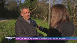 Roma, un testimone: "Anche io aggredito dai tre rottweiler" thumbnail