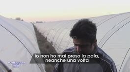 Lo zio di Saman Abbas sul luogo del delitto thumbnail