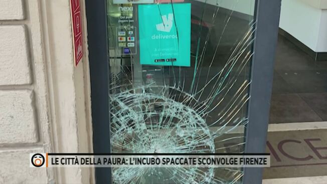 10 Cestini Idroponici Bianchi A Rete, Vasi Per Acquaponica Con Fessure, 55mm, Ideali Per Talee E Semina