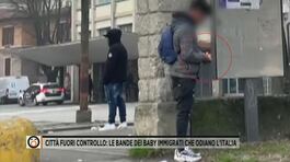 Le bande dei baby immigrati che odiano l'Italia thumbnail