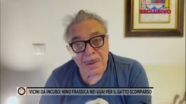 Vicini da incubo: Nino Frassica nei guai per il gatto scomparso thumbnail