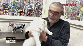 Spoleto, Nino Frassica nei guai per il gatto scomparso thumbnail