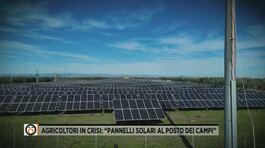 Agricoltori in crisi: "Pannelli solari al posto dei campi" thumbnail