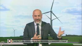 "Distrutti dal verde: così le multinazionali si mangiano l'Italia" thumbnail