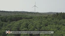 Ecofollie: con la scusa del verde distruggono l'Italia thumbnail