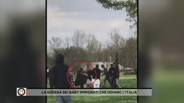 La guerra dei baby immigrati che odiano l'Italia thumbnail