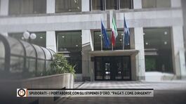 Spudorati - I portaborse con gli stipendi d'oro: "Pagati come dirigenti" thumbnail