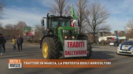 Trattori in marcia, la protesta degli agricoltori thumbnail
