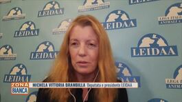 Michela Vittoria Brambilla e l'impegno della LEIDAA thumbnail