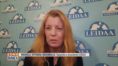 Michela Vittoria Brambilla e l'impegno della LEIDAA