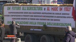 Protesta dei trattori, le voci degli agricoltori thumbnail