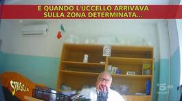 Il pranoradio guaritore perde il pelo, ma non il vizio thumbnail