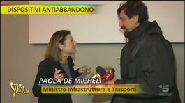 Paola De Micheli, tra temperature (fuori legge), seggiolini e…Tapiri thumbnail