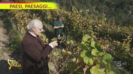 La botte perpetua del vino "Zero Infinito" thumbnail