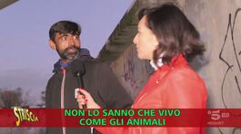 Novara, nell'ex cotonificio: "Qui viviamo come animali" thumbnail