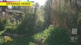 "Speranza verde" e il giardino del sole di Sarentino thumbnail
