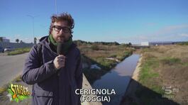 Cerignola, il Canale Lagrimaro e la bonifica che non c'è thumbnail