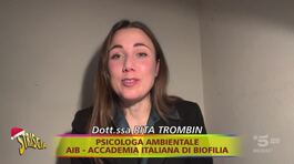 "Ambiente Ciovani" e i numeri del verde in città thumbnail