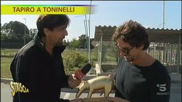 Danilo Toninelli, il Tapiro e le sviste del Ministro delle gaffe thumbnail