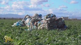 Puglia, le ecoballe ora finiscono anche nei campi coltivati thumbnail