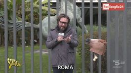 I biglietti di Sanremo, introvabili tranne che per i dipendenti Rai thumbnail