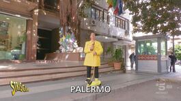 Palermo. Salvate l'albero di Giovanni Falcone! thumbnail