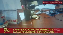 Lagonegro: anche qui fotocopie (e altro) senza scontrini thumbnail
