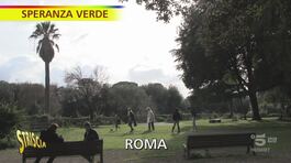 "Speranza Verde" a Villa Borghese, il Central Park italiano thumbnail