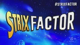 Strix Factor, nuovi talenti da non perdere thumbnail