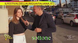 L'italiano, una lingua che rimane sempre giovane thumbnail