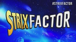 A Strix Factor arrivano gli imitatori thumbnail
