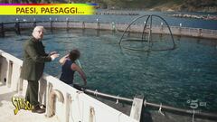 Capraia, uno degli allevamenti ittici più avanzati del Mediterraneo