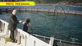Capraia, uno degli allevamenti ittici più avanzati del Mediterraneo thumbnail