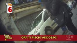 Seconda giornata nazionale del contrabbandiere buono thumbnail