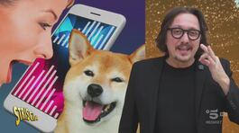 Il cucciolo vuole più bene a mamma o a papà? Chiedi all'app thumbnail