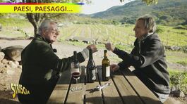 Isola di Capraia. Qui si pratica la tradizione antica della viticoltura thumbnail