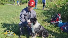 Regione Lombardia: le esercitazioni nazionali dei cani eroi delle unità cinofile italiane da soccorso thumbnail