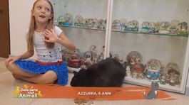 Le domande dei nostri bimbi thumbnail