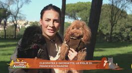 Cleopatra e Georgette, le figlie di: Francesca Manzini thumbnail